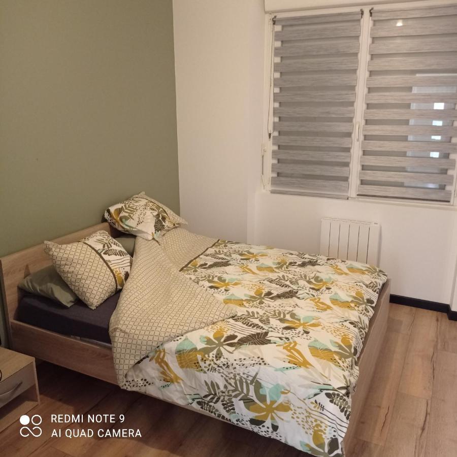 Maisonnette Tout Confort Parking Prive Брест Екстериор снимка